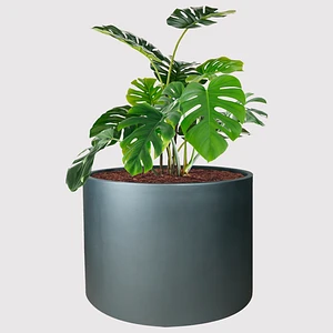 Maceta Fibra de Vidrio Modelo Cilindro