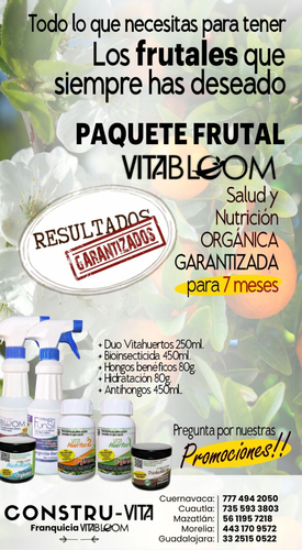 Pack Frutales Salud y Nutrición Orgánica Vitabloom Mx en Cuernavaca, Morelos