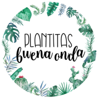 Plantitas Buena Onda