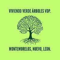 Vivero La Hacienda/Valle del Pilón