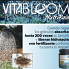 Pack Frutales Salud y Nutrición Orgánica Vitabloom Mx