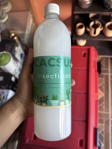 Insecticida en Xalapa, Veracruz