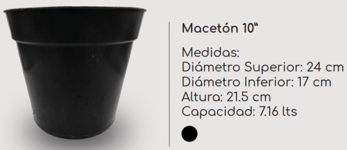 Macetón 10” en Jiutepec, Morelos