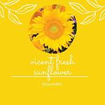 Semilla de Girasol 🌻