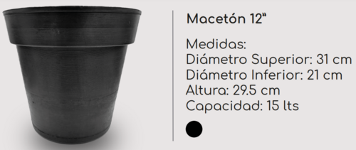 Macetón 12” en Jiutepec, Morelos