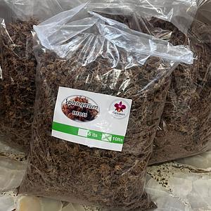 Sphagnum Moss (musgo Chileno)