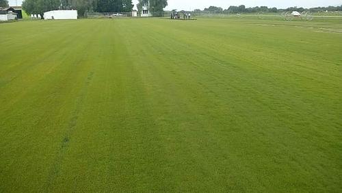 Pasto Natural en Mixquiahuala De Juarez, Hidalgo