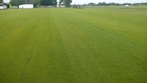 Pasto Natural en Mixquiahuala De Juarez, Hidalgo