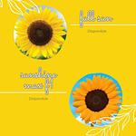 Semilla de Girasol 🌻