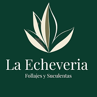 Vivero La Echeveria| Follajes y Suculentas |