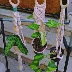 Porta Macetas de Macramé