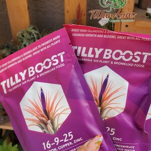 Tilly Boost Fertilizer